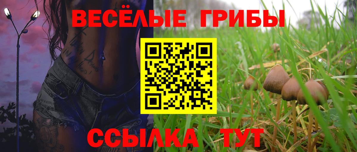 продажа наркотиков  Вход с VPN  Похвистнево  Псилоцибиновые грибы Psilocybe  Псилоцибиновые грибы мицелий 